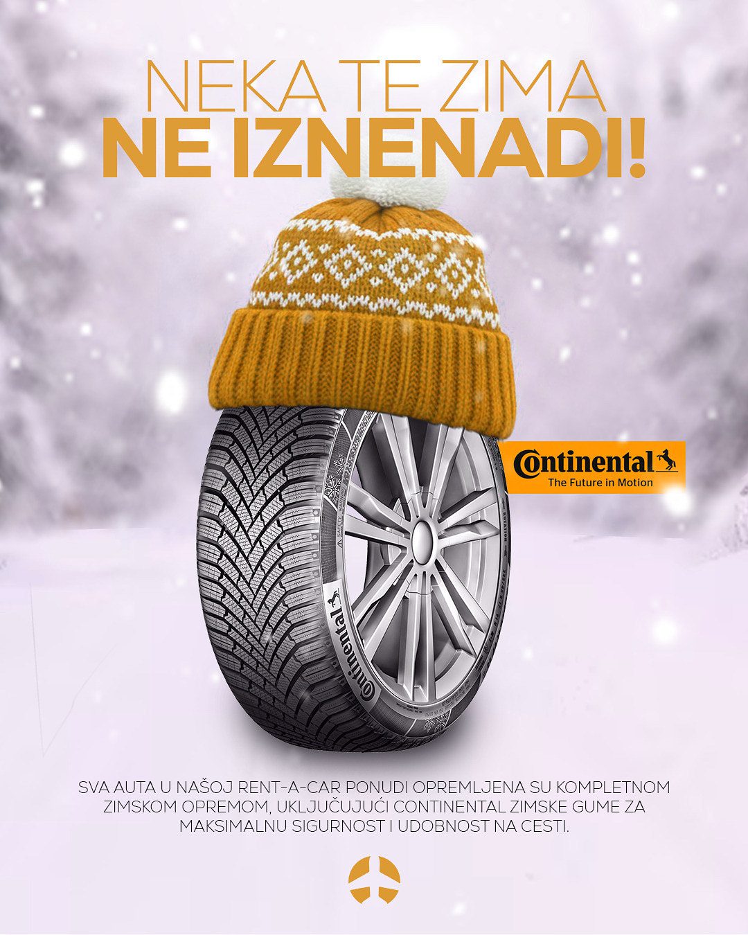 Rent a Car Fleet at SJJ